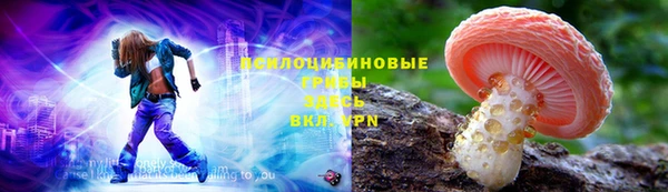 дживик Пересвет
